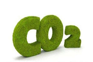 國(guó)家電網(wǎng)發(fā)布“碳中和”路線(xiàn)